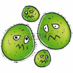 gripe2