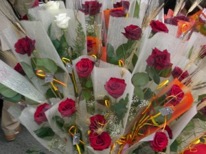 sant jordi 6
