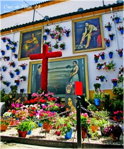 CruzMayo