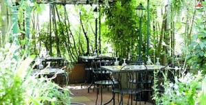 jardin 2