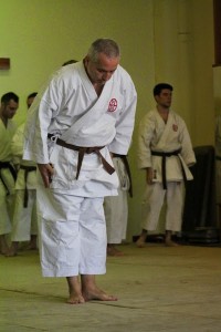 liderazgo karate 1